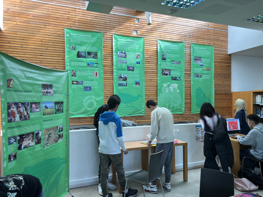 expo_biodiversite_6