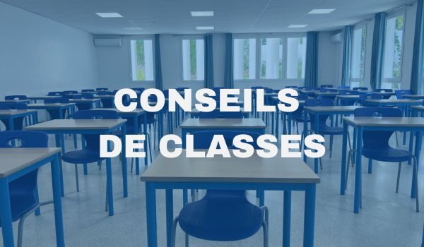 MINIATURE SITE CONSEILS DE CLASSE