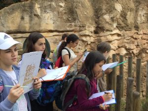 chaap_presentation_5