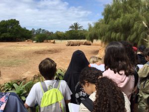 chaap_presentation_7